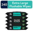 thumbnail image 1 of DUDE Flushable Wipes, Extra Large Mint Chill Wet Wipes, 48 Count, 5 Pack (240 Total), 1 of 8