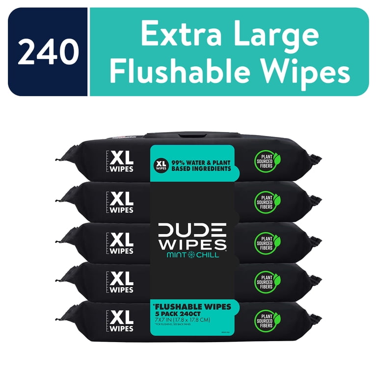 DUDE Flushable Wipes for Adults, Mint Chill, 240 Count, Travel