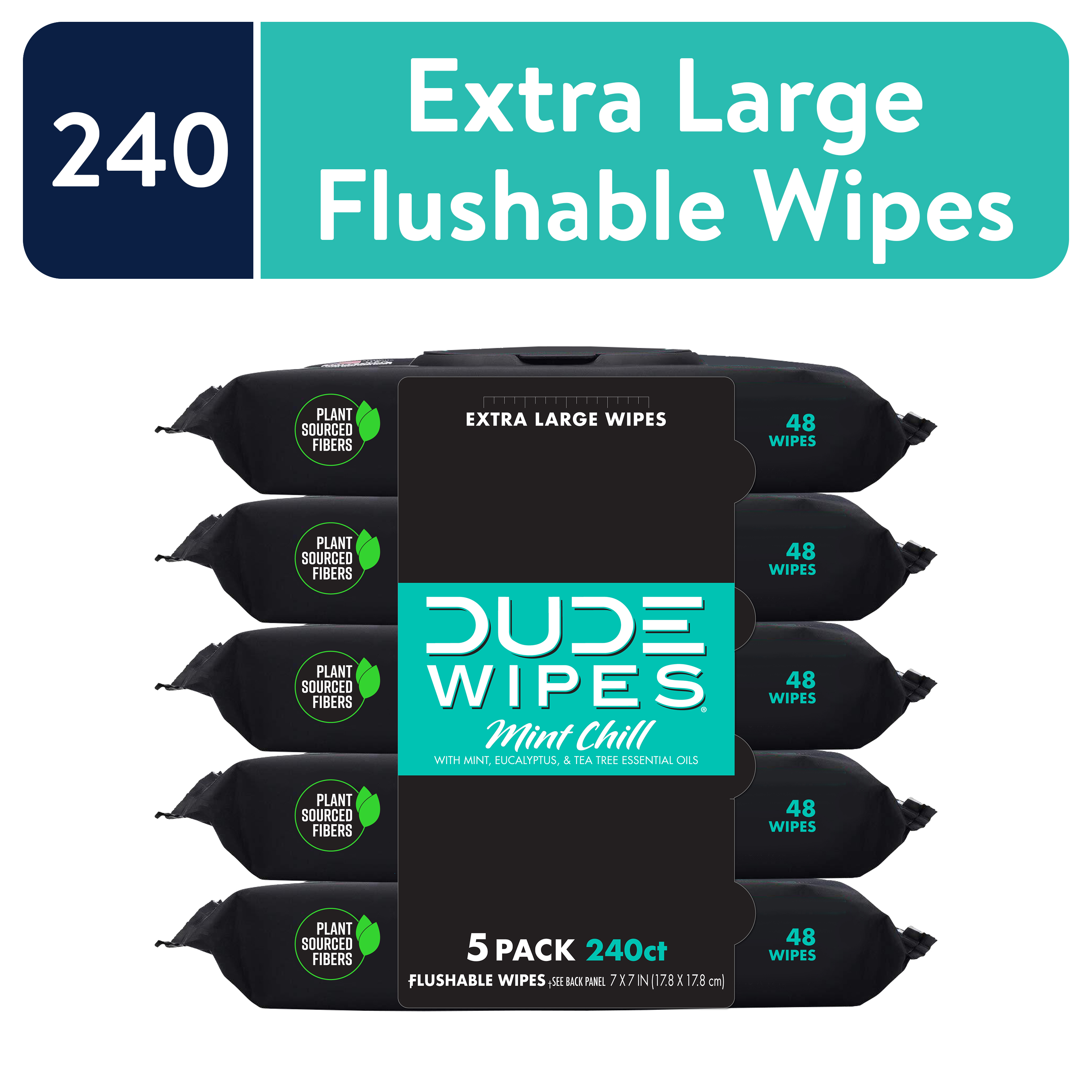 DUDE Wipes Flushable Wipes, XL Wet Wipes for at Home Use, Mint Chill, 48 Count, 5 Pack - image 1 of 8