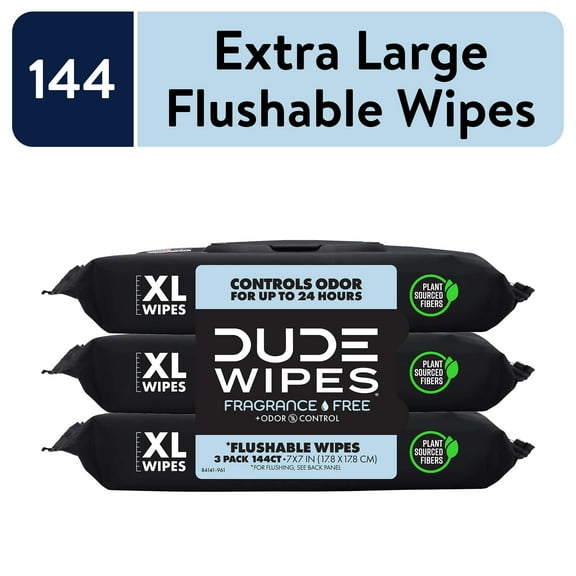 DUDE Wipes Fragrance Free Plus Odor Control, XL Wet Wipes, 48 Count, 3 Pack