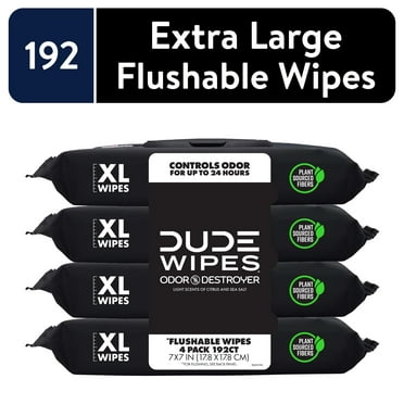 DUDE Wipes Odor Destroyer XL Flushable Wet Wipes, Deodorizing with Clean Scent, 48 Count, 4 Pack