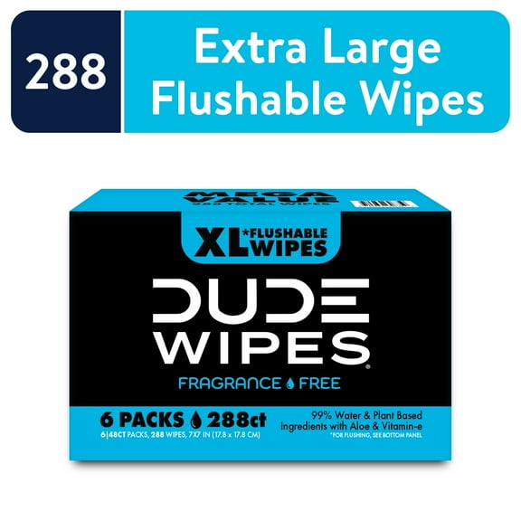 DUDE Wipes Unscented XL Flushable Wipes, 6 Flip-Top Packs Case, 48 Wipes per Pack, 288 Total Wipes