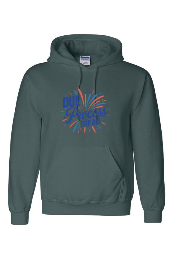 DUE PROCESS For All 4th Of July Justice Law Legal USA Graphic Pullover Hoodie, up to size 5XL