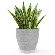 DUNCHATY 12 Inch Plant Pots with Drainage Hole & Saucer - Resin Vase for Indoor & Outdoor - Gray