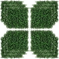 thumbnail image 1 of DUOSONG Outsunny Grass Wall Panels, 20" X 20" Artificial Grass Wall Decor,Greenery Backdrop Panels Wall For Outdoor, Indoor, Garden, Fence, Backyard, Fresh Green Green POLYETHYLENE Garden & Outdoor, 1 of 5