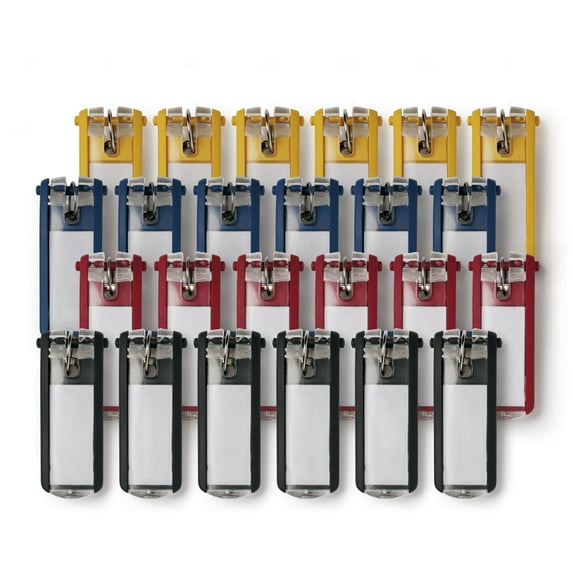 DURABLE Office Products 24-Pack Key Tags, Assorted (194900)