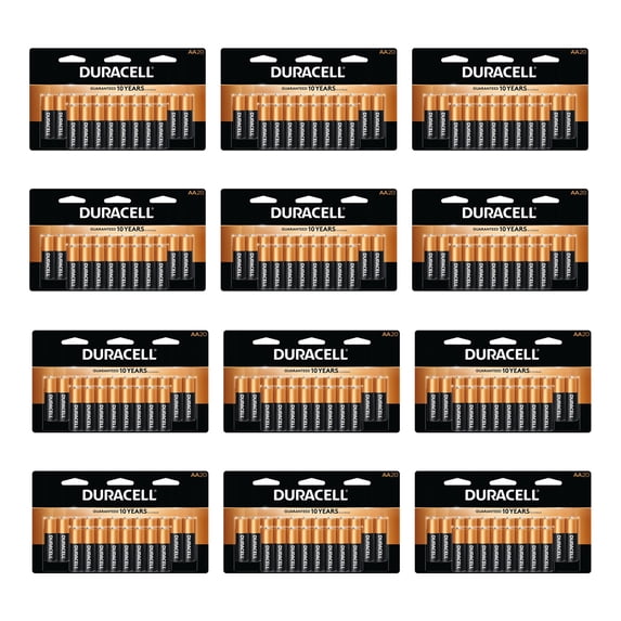 DURACELL Duralock AA 1.5-Volt Alkaline Batteries for Power (240 Pack)