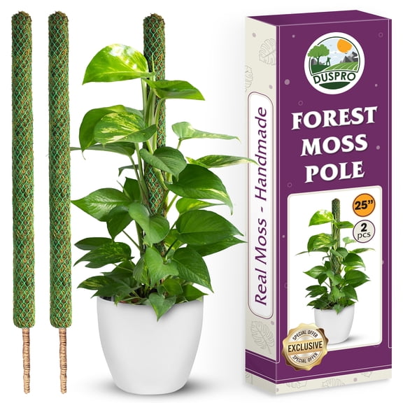 DUSPRO 2 Pack 25 Mesh Moss Pole for Climbing Plants, Natural Moss Pole Monstera Plant Support, Real Moss Poles for Plants Indoor, Moss Stick for House Plants, Moss Stakes for Climbing Plants