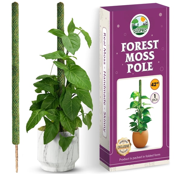 DUSPRO 42 Inch Tall Moss Pole for Monstera Bendable Plant Stakes, Sphagnum Real Forest Moss Stick, Handmade Potted Plants Support, Trellis Perfect for Big Climbing Plants Indoor (Large Size)