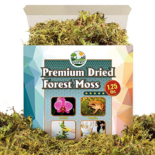 DUSPRO Big Bag Dried Forest Moss for Plant Propagation Sphagnum Moss
