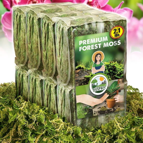 DUSPRO Dried Moss for Potted Plants, Forest Orchid Moss for Potting Mix, Sphagnum Potting Moss for Plants Indoor, Real Moss Soil Cover for Houseplant (2.1 LBS)