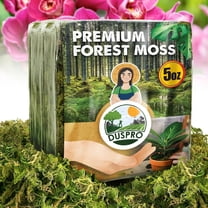 DUSPRO Dried Moss for Potted Plants, Forest Orchid Moss for Potting Mix, Sphagnum Potting Moss for Plants Indoor, Real Moss Soil Cover for Houseplant (5 OZ)