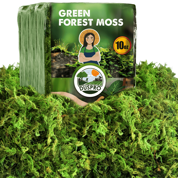 DUSPRO Green Moss for Crafts Decorative Moss Filler for Planters Moss Decor for Table Centerpieces Wedding Christmas Fairy Party Decor, Green Moss for Indoor Planters, DIY Project 10 Oz