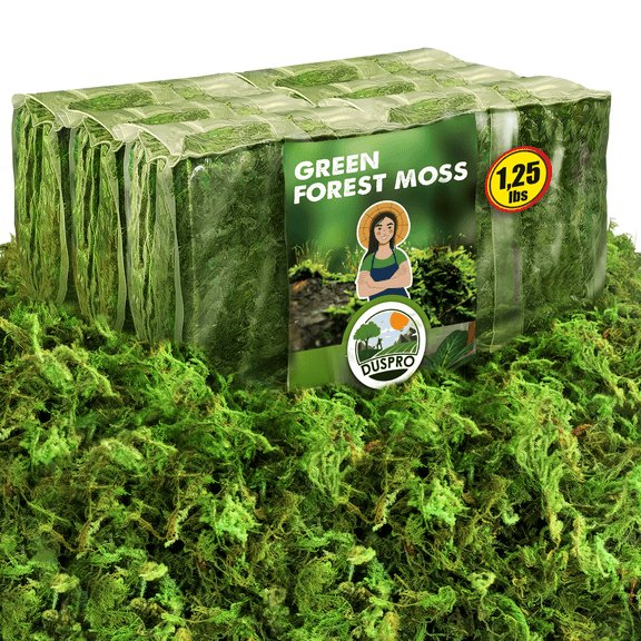 DUSPRO Green Moss for Crafts Decorative Moss Filler for Planters Moss Decor for Table Centerpieces Wedding Christmas Fairy Party Decor, Green Moss for Indoor Planters, DIY Project 1.25 LBS