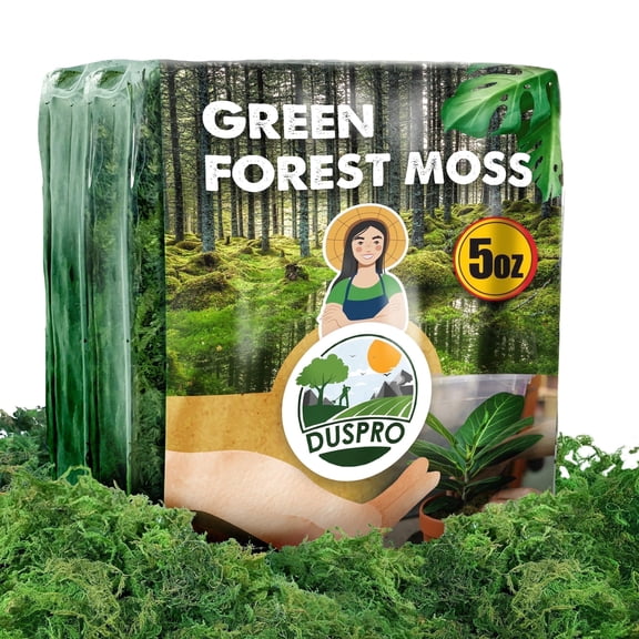 DUSPRO Green Moss for Crafts, Forest Moss Potted Plants, Decorative Moss for Table Centerpieces Wedding Christmas Fairy Party Decor, Green Moss for Indoor Planters, DIY Project 5 Oz