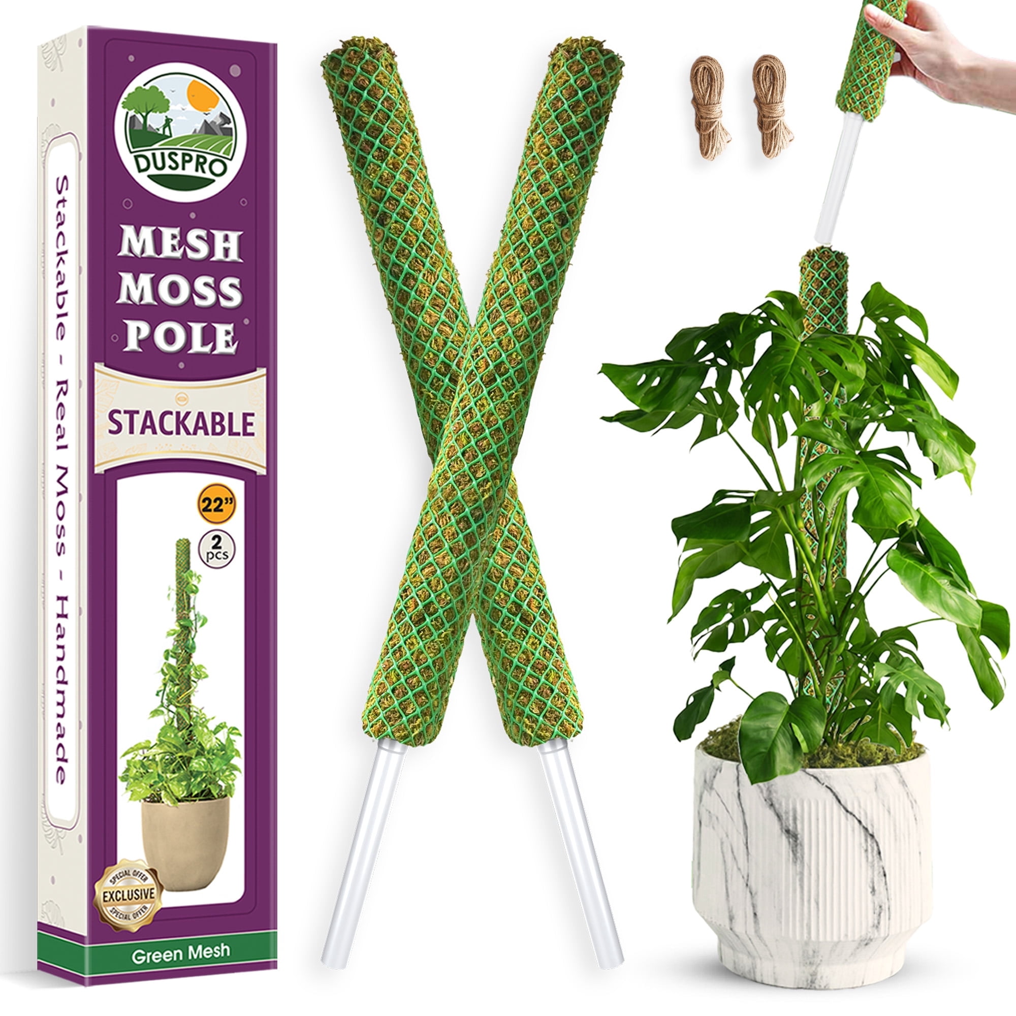 Moss Sticks for Climbing Plants Support
