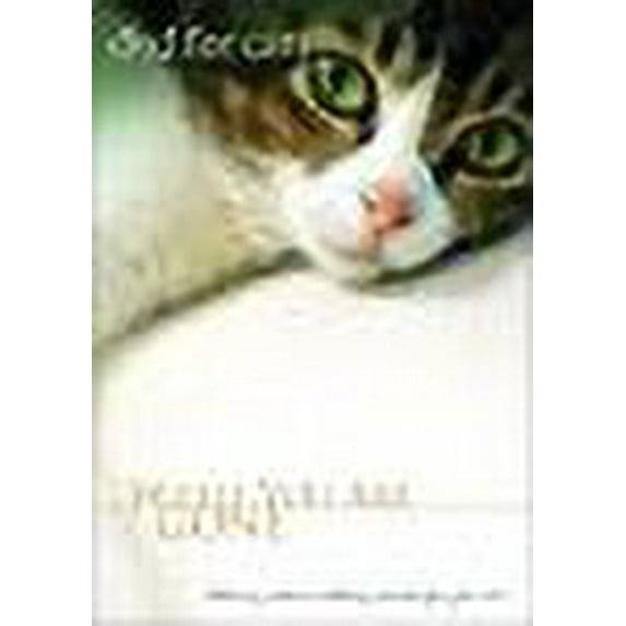 DVD For Cats: While You Are Gone DVD