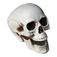 thumbnail image 1 of DVGRVO Halloween Skull Prop – Realistic Plastic Human Head Model for Haunted House, Party Decor & Pranks (9.05 x 7.87 Inch), 1 of 4