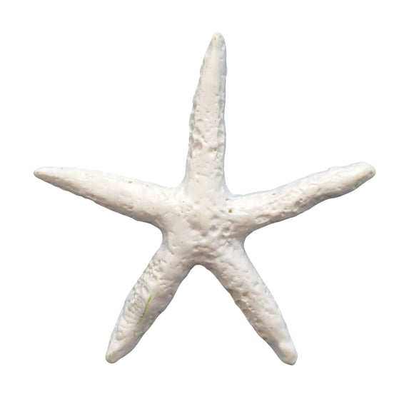 DVKOVI Mini Ocean Resin Animals Starfish Seashell Tiny Sea Models for Miniatures DIY Fish Tank Micro Landscaping One Size