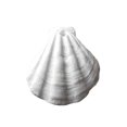 thumbnail image 1 of DVKOVI Mini Ocean Resin Animals Starfish Seashell Tiny Sea Models for Miniatures DIY Fish Tank Micro Landscaping E One Size, 1 of 5