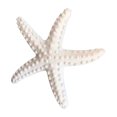 thumbnail image 1 of DVKOVI Mini Ocean Resin Animals Starfish Seashell Tiny Sea Models for Miniatures DIY Fish Tank Micro Landscaping One Size, 1 of 5