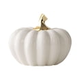 thumbnail image 1 of DVKOVI White Ceramic Pumpkin Decorations Halloween Thanksgiving Pumpkins Decor for Farmhouse Table Centerpiece B One Size, 1 of 7