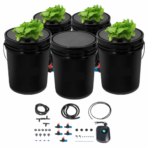DWC Hydroponic System 5 Gal 5 Buckets Grow Kit for Leafy Vegetables