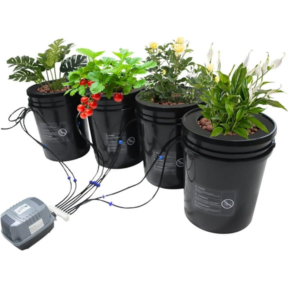 DWC Hydroponics Grow System, 5 Gallon Deep Water Culture Hydroponic Bubbler Bucket Kit with Air Pump for Growing Fruits, Crops, Vegetables