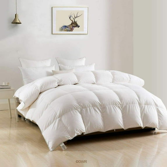 DWR Luxury Queen/Full Size Feathers Down Comforter All Season Quilted Bedding Comforter Hotel-Style Ultra-Soft Egyptian Cotton 750FP Fluffy Duvet Insert(90"x90",White)