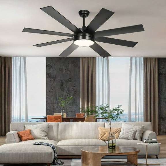 DWVO 60 in Modern Black Living Room, Bedroom with Lights and Remote Control