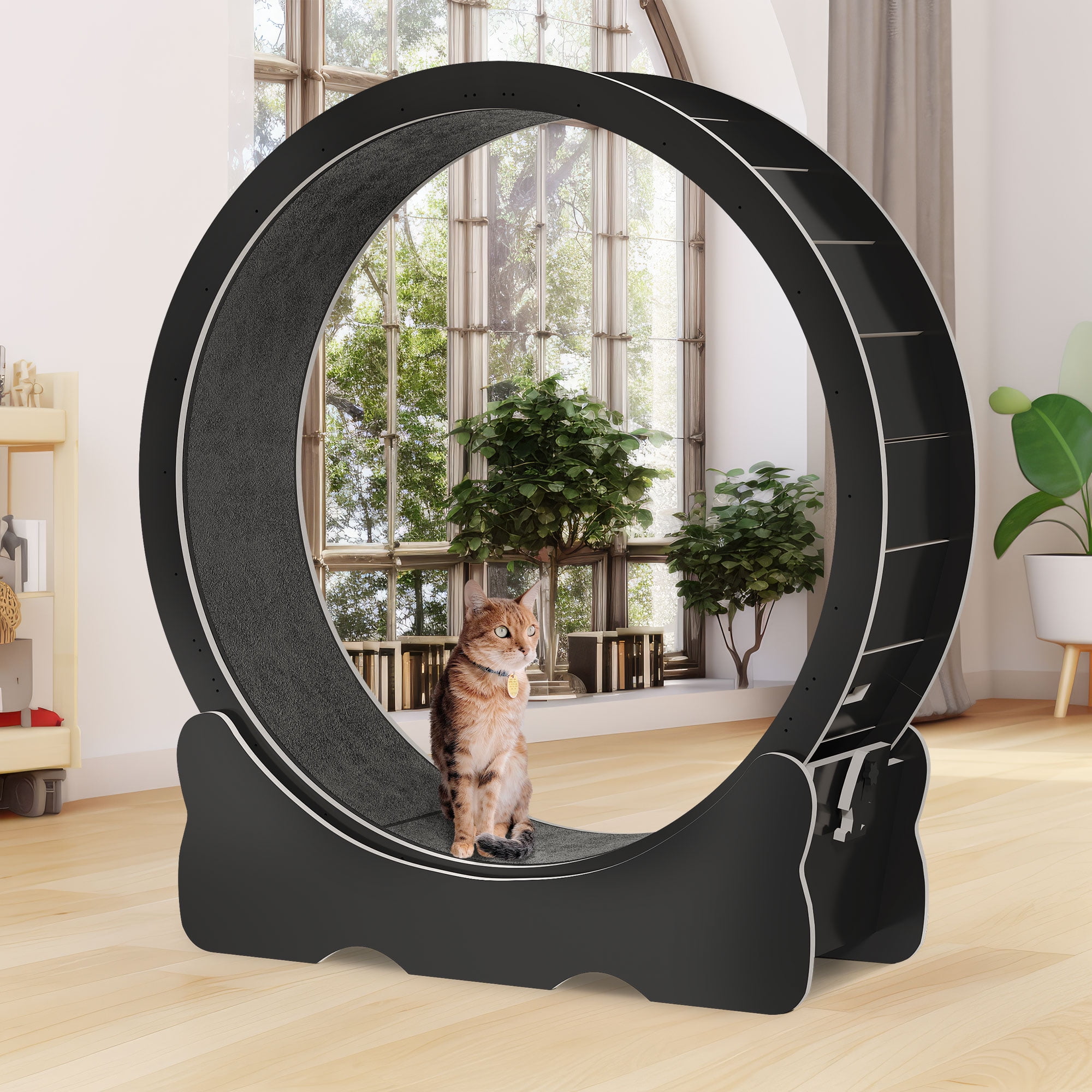 DWVO Cat Exercise Wheel for Indoor Cat, Cat Running Wheel with Carpeted