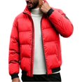 thumbnail image 1 of DYTTDG Men’s Winter Puffer Jacket, Long Sleeve Zip Up Quilted Outerwear with Ribbed Cuffs, Casual Loose Fit Coat for Daily Outdoor Wear, 1 of 8