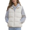 thumbnail image 1 of DYTTDG Women's Solid Color Stand Collar Puffer Vest, Full Zipper Sleeveless Outerwear With Side Pockets, Lightweight Casual Quilted Gilet for Fall Winter Daily Wear, 1 of 8