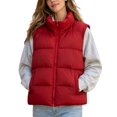 thumbnail image 1 of DYTTDG Women's Solid Color Stand Collar Puffer Vest, Full Zipper Sleeveless Outerwear With Side Pockets, Lightweight Casual Quilted Gilet for Fall Winter Daily Wear, 1 of 8