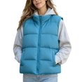 thumbnail image 1 of DYTTDG Women's Solid Color Stand Collar Puffer Vest, Full Zipper Sleeveless Outerwear With Side Pockets, Lightweight Casual Quilted Gilet for Fall Winter Daily Wear, 1 of 8