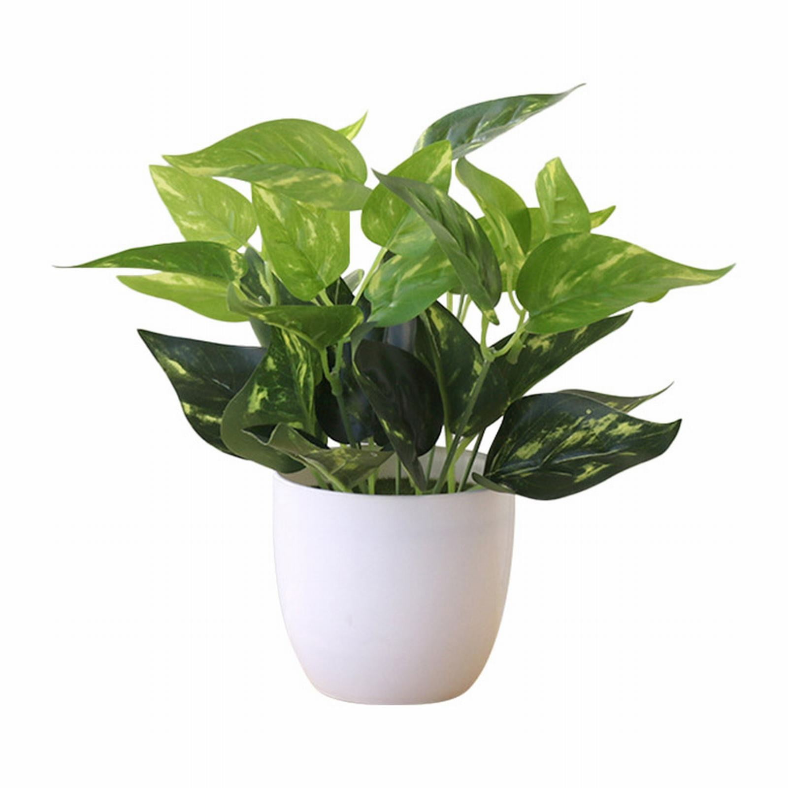 DYWADE Home Tools Potted Green Radish Leaf Wedding Partition Decoration