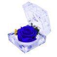 thumbnail image 1 of DYstyle Preserved Roses in Box Romantic Gifts for Thanks Giving Female Valentine's Day, 1 of 3