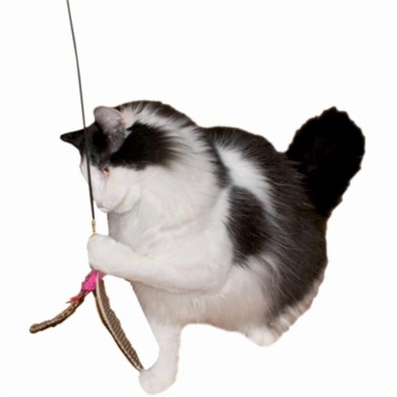 Da Bird Wand Cat n Around Wands