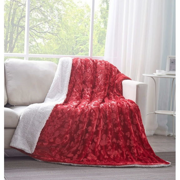 DaDa Bedding Luxury Romantic Red Lovely Hearts Dreamy Plush Faux Fur Throw Blanket (19)
