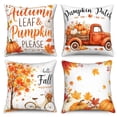 thumbnail image 1 of DaShan Fall Throw Pillow Covers 18x18 Set of 4,Thanksgiving Autumn Pumpkin Pillow Cases for Bedroom Sofa Couch, 1 of 6
