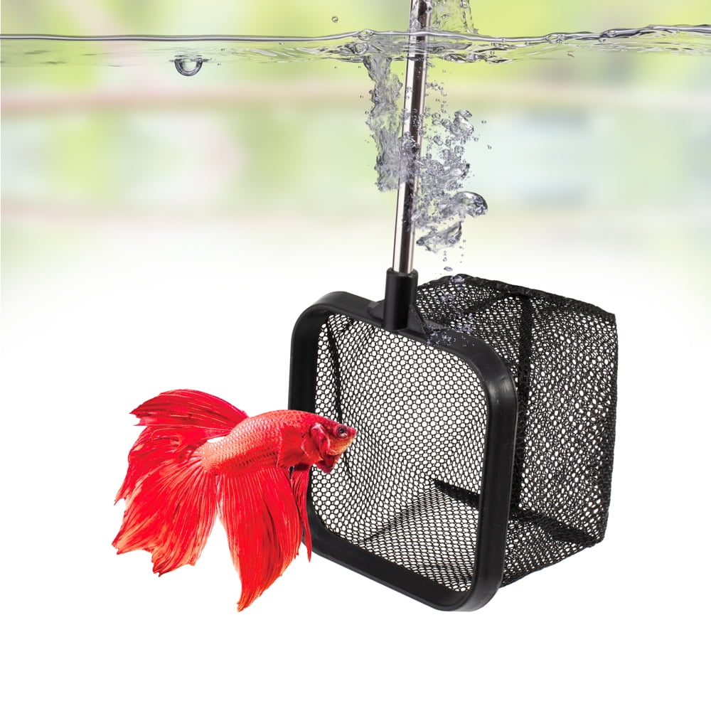 DaToo Aquarium Fish Net for Betta Fish Tank Nano Nylon Net with Extendable Handle, 1 Yr Warranty - Walmart.com DaToo Aquarium Fish Net for Betta Fish Tank Nano Nylon Net with Extendable Handle, 1 Yr Warranty - Walmart.com