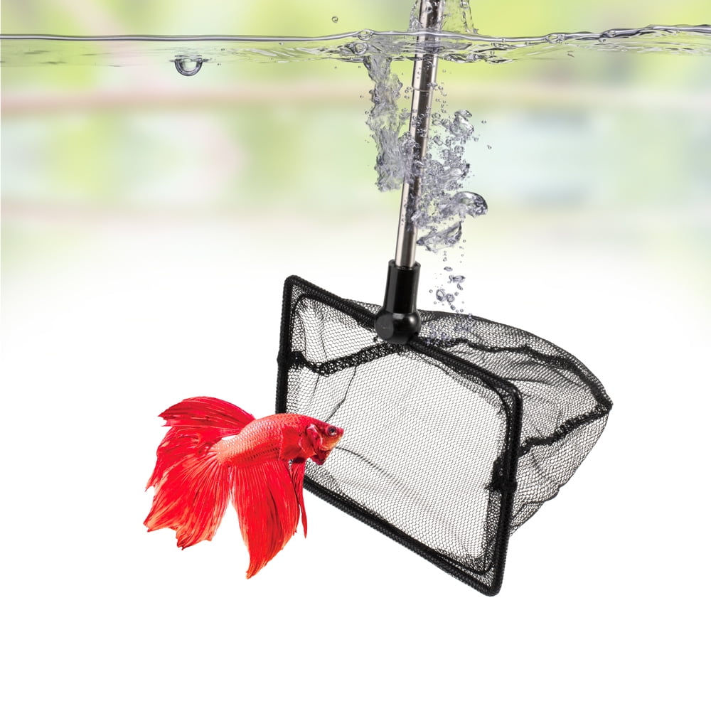 DaToo 4 Inch Aquarium Fish Net for Betta Fish Tank Nano Nylon Net with Extendable Handle 10-25 Inch, 1 Yr Warranty DaToo 4 Inch Aquarium Fish Net for Betta Fish Tank Nano Nylon Net with Extendable Handle 10-25 Inch, 1 Yr Warranty