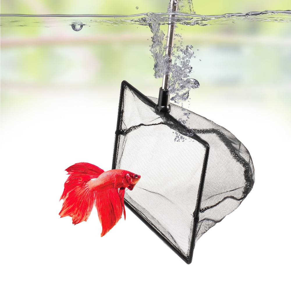 DaToo 6 Inch Aquarium Fish Net for Betta Fish Tank Nano Nylon Net with Extendable Handle 10-25 Inch, 1 Yr Warranty DaToo 6 Inch Aquarium Fish Net for Betta Fish Tank Nano Nylon Net with Extendable Handle 10-25 Inch, 1 Yr Warranty