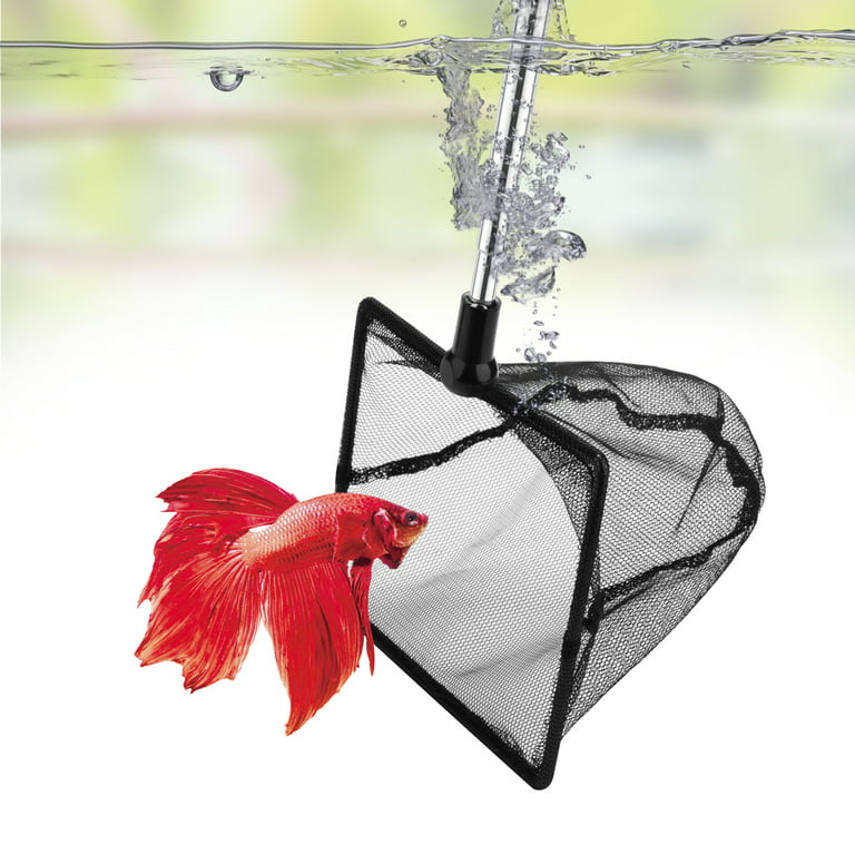DaToo Aquarium Fish Net for Betta Fish Tank Nano Nylon Net with Extendable  Handle, 1 Yr Warranty