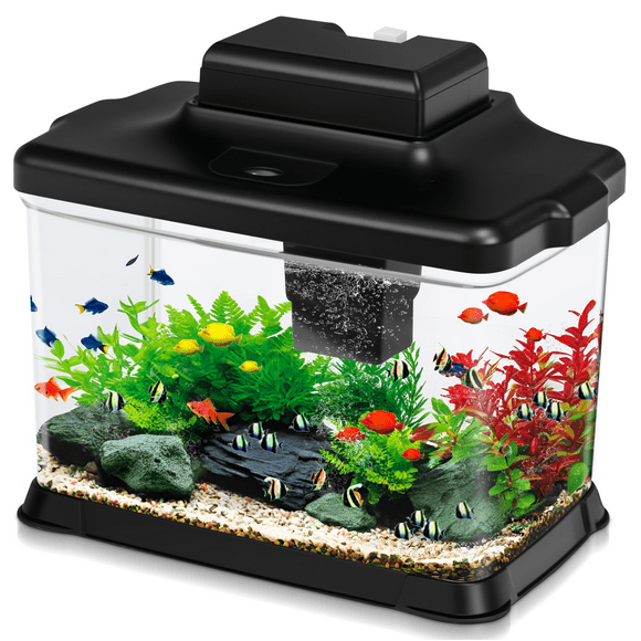 DaToo Small Fish Tank Ultra-Clear 1.6 Gallon Aquarium Starter Kits with LED Lighting and Filter System Beginner-Friendly Mini Betta Aquarium for Small Fish Shrimp Desktop Room Decoration