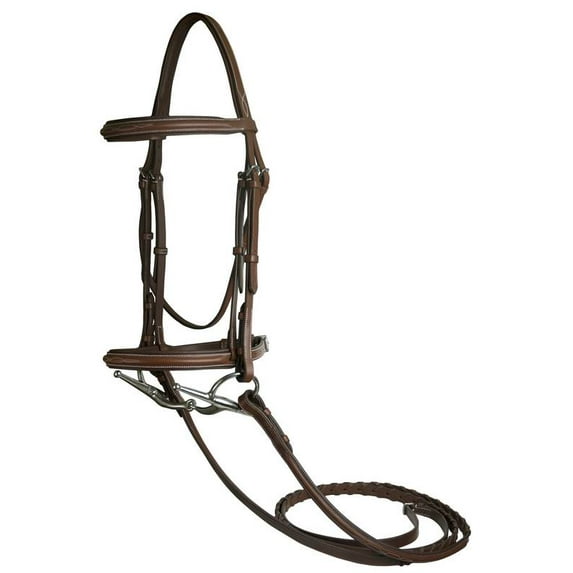 DaVinci Fancy Raised Comfort Bridle Cob Chestnut