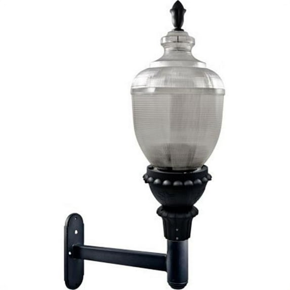 Dabmar Lighting 150 watt High Pressure Sodium Mogul Base 120 V Clear Acorn Wall Fixture - Black - Bronze & Verde Green