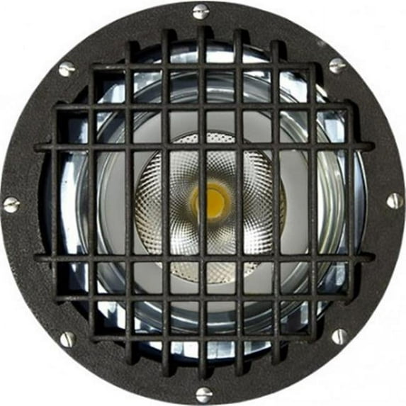 Dabmar Lighting 18W & 120V PAR38 LED Flood Fiberglass Well Light with Grill - Bronze
