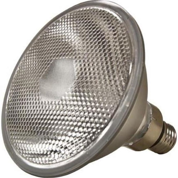 Dabmar Lighting DL-PAR38-70MH PAR38 Type Medium Base 70 watt MH 120 V Lamp, White