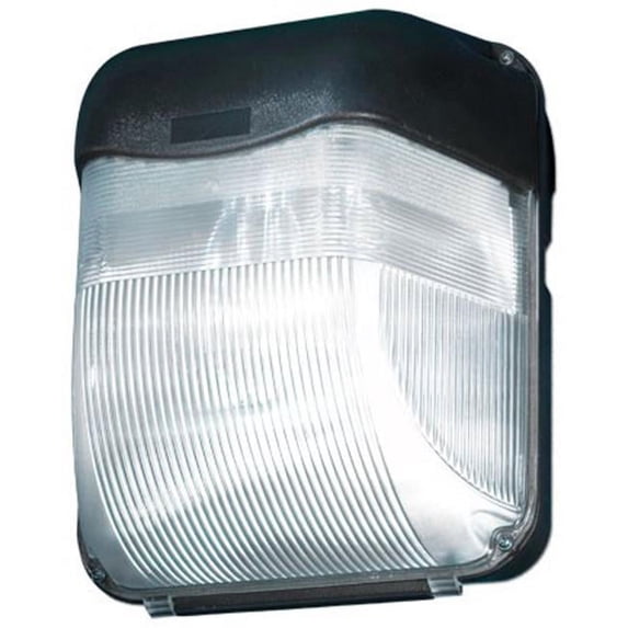 Dabmar Lighting DW1110-B-MED Surface Mount Wall Fixture, Black